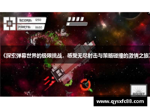 《探索弹幕世界的极限挑战，感受无尽射击与策略碰撞的激情之旅》