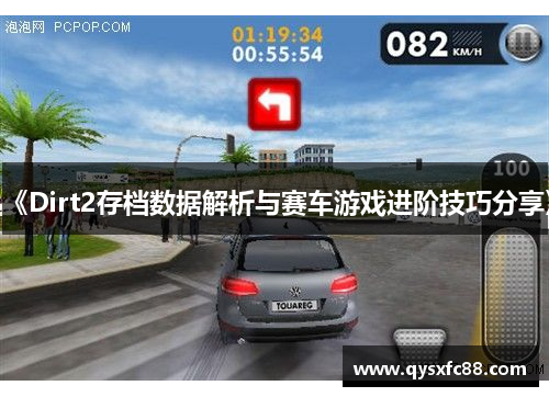 《Dirt2存档数据解析与赛车游戏进阶技巧分享》